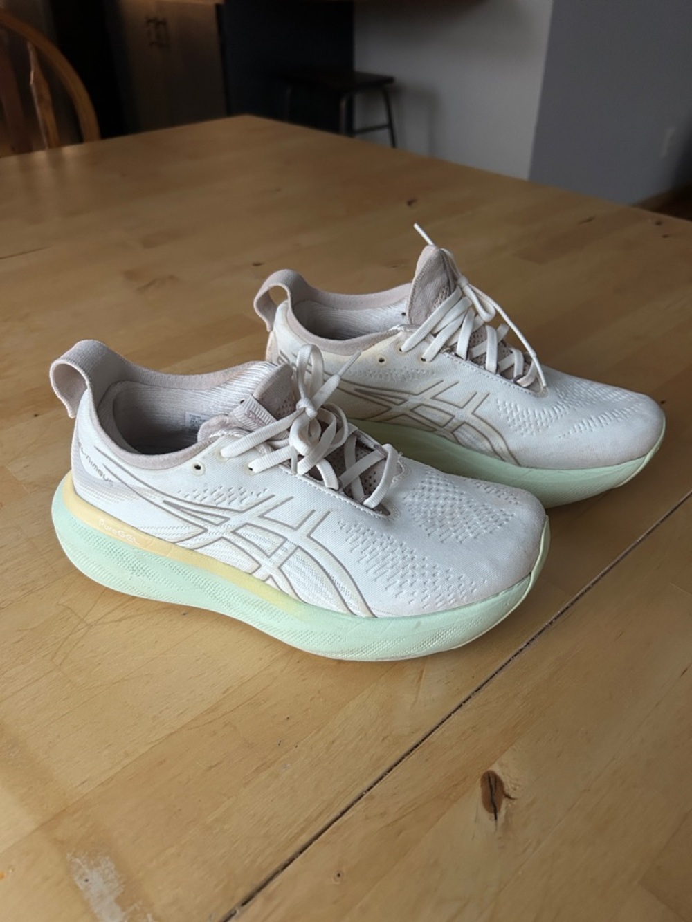 Asics Gel Nimbus 25